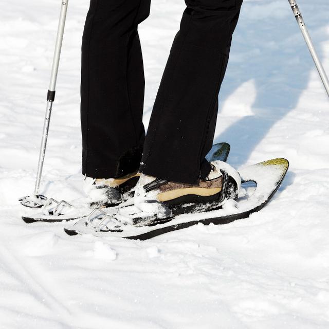 Excursión Raquetas de Nieve